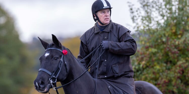 Arrogant Andrew Mountbatten Windsor believed he could ride out the storm, he got it hopelessly wrong