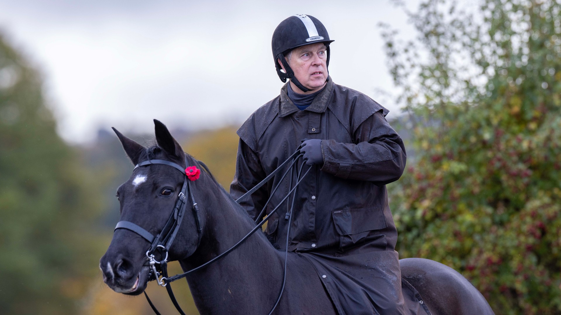 Arrogant Andrew Mountbatten Windsor believed he could ride out the storm, he got it hopelessly wrong