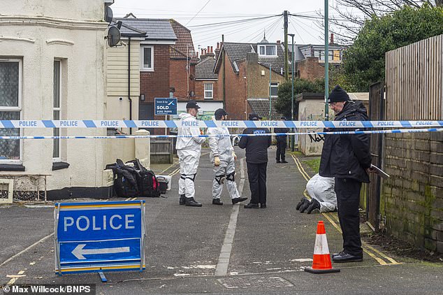 Police searched Walpole Lane in Bournemouth in February last year, where skull fragments were found