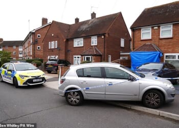 Pictured: Police officers in Midhurst Gardens in Uxbridge, west London