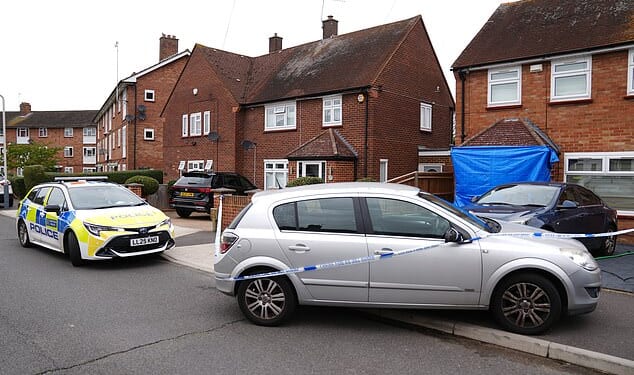 Pictured: Police officers in Midhurst Gardens in Uxbridge, west London