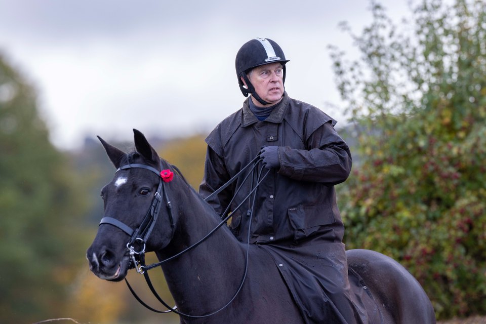 Prince Andrew riding a horse with a poppy on its bridle.