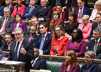 'Misses Rayner and Powell smirked and allowed their eyebrows to flex by a 16th of an inch,' writes Quentin Letts