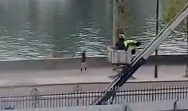 Astonishing new video shows Louvre robbers escaping in a mechanical delivery basket with £76m-worth of jewels - after evading CCTV that was 'pointing the wrong way'