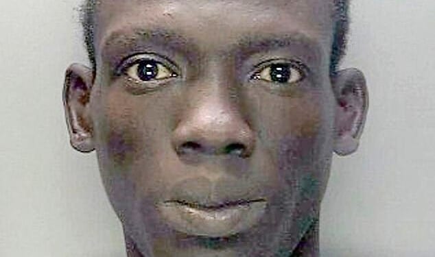 Last week, small-boat migrant Deng Majek (pictured) was found guilty of the unprovoked murder of a British mother of one who worked at the Walsall asylum hotel