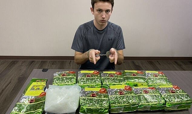 George Wilson, 23, from High Wycombe, Buckinghamshire, (pictured) is said to have received 9.15kg of methamphetamine from another Briton at a hotel in the red-light area of Bangkok on Monday evening