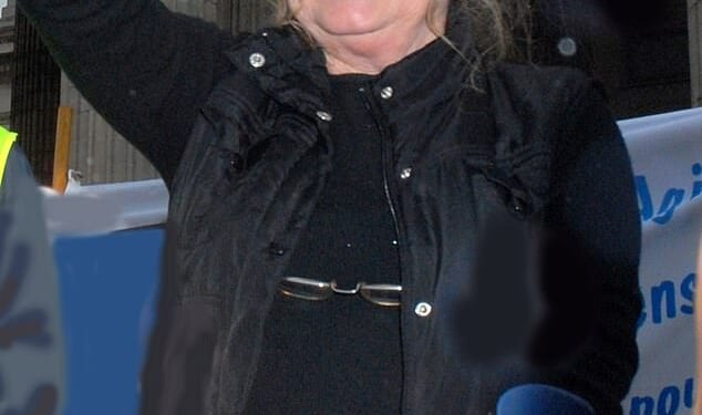 Brigitte Bardot, 91, has been admitted to hospital in Saint-Tropez with a serious illness and has undergone surgery (pictured in 2011)