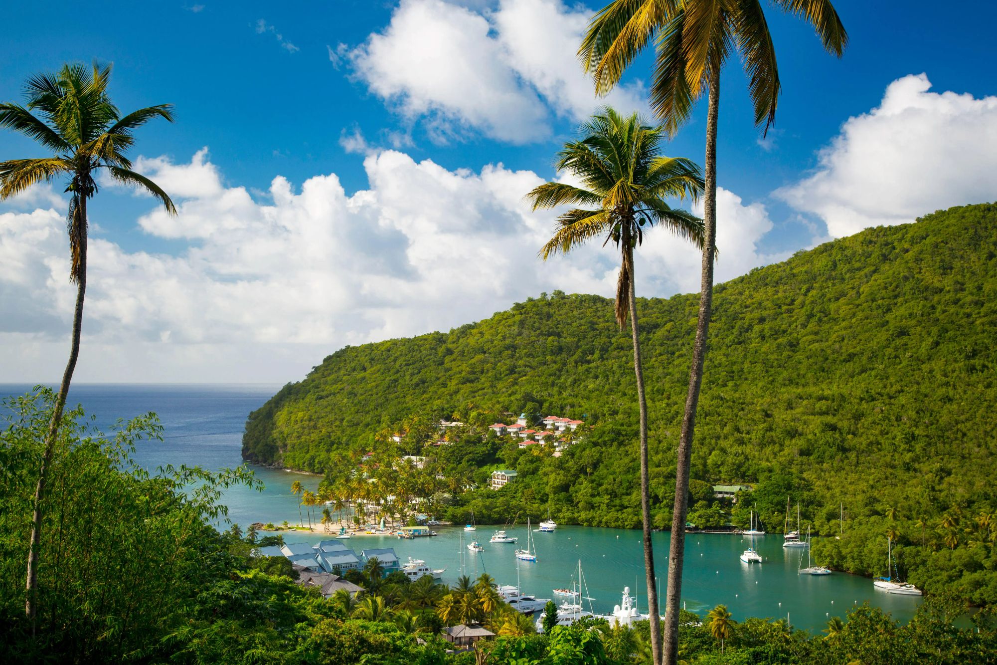 An image collage containing 1 images, Image 1 shows Elevated view of Marigot Bay, St. Lucia