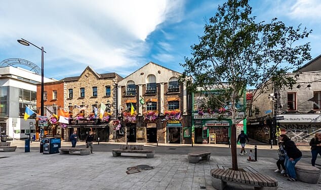 The English man was taken to hospital after reports of a 'serious assault' in the Temple Bar Square area (a general view of the area is pictured) of Dublin on August 21