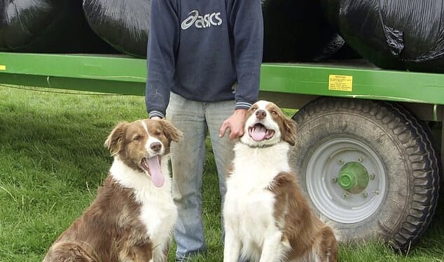 Steven Maile, 40, launched legal action alongside his brother and mother after being cut out of his grandmother's will