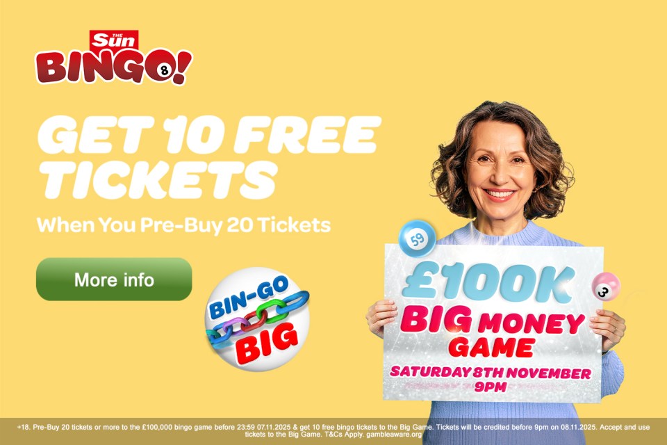 Advertisement for Sun Bingo offering 10 free tickets when pre-buying 20 for a £100,000 "Big Money Game" on November 8th.