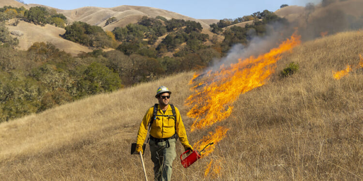 California residents embrace ‘controlled burns’ to mitigate wildfire risks