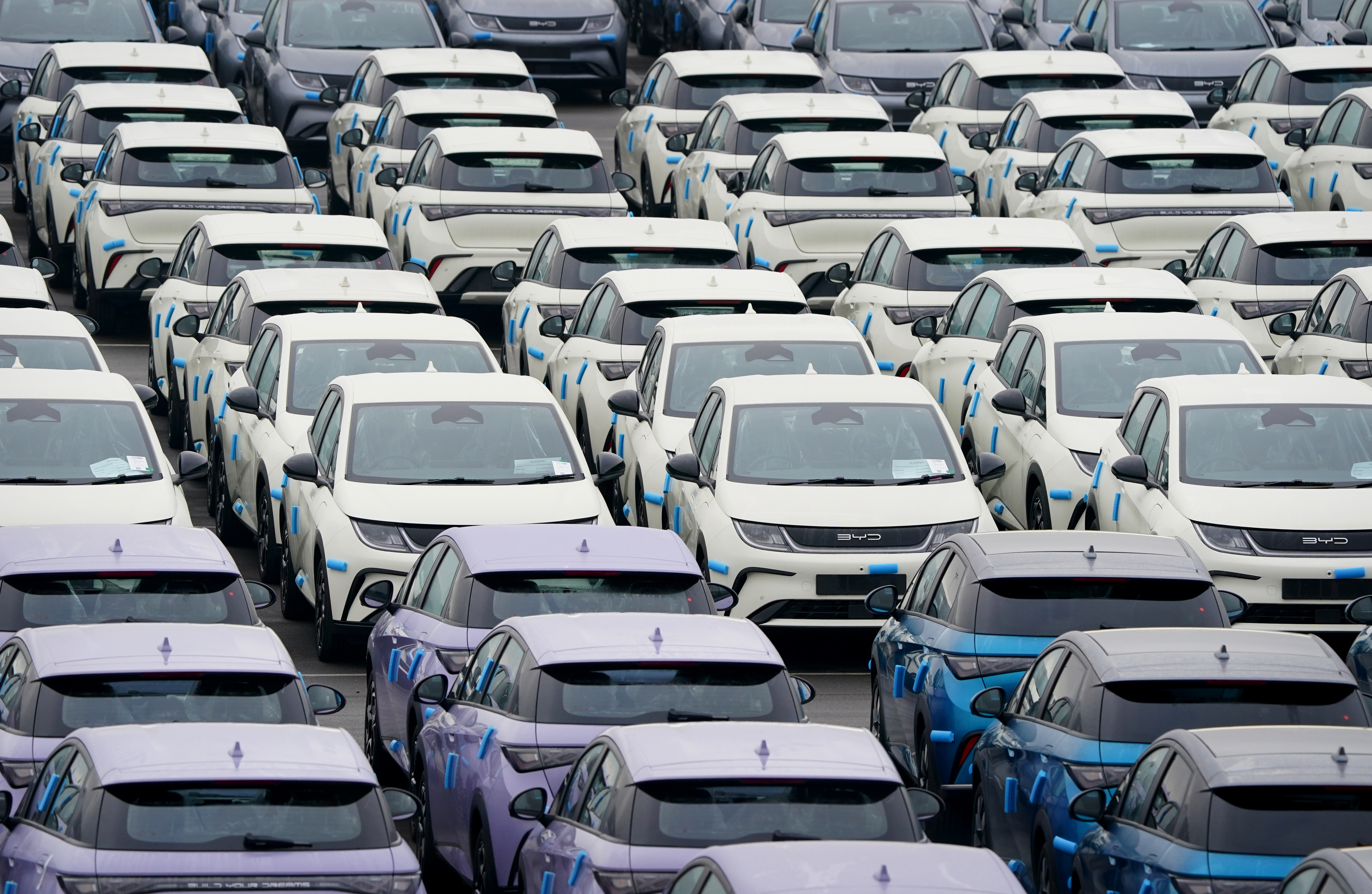 Rows of white and purple Chinese-made electric vehicles in a compound.