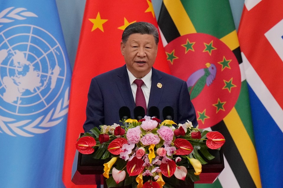 China's President Xi Jinping speaking at the Global Women's Summit 2025.