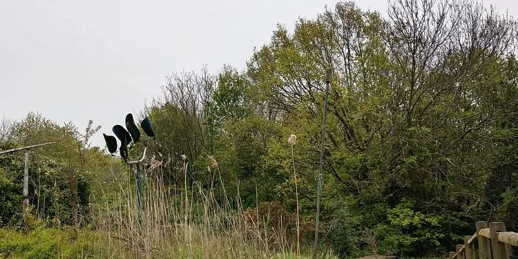 Cops hunt man after attempted rape of woman in popular city park before attacker fled scene when man chased him off