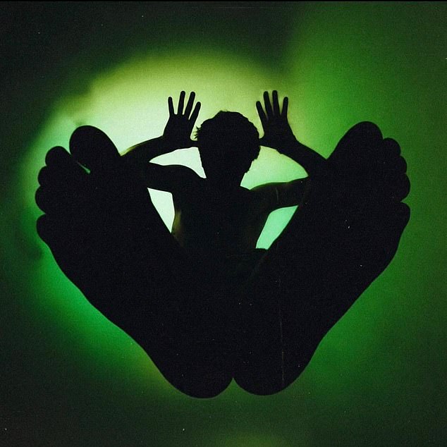 He sings: 'Take a thousand selfies in your bed while I trip in mine / I love me some mushrooms and good head and an erotic 69'