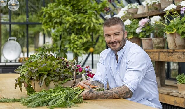 Sir David Beckham (pictured) is making the most of his outside space nine years after he and Lady Beckham bought their Cotswolds home