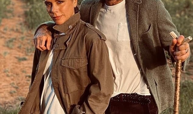 David and Victoria Beckham have angered neighbours over plans to build a new access road to their £12million Cotswolds home so they don't have to share with Soho Farmhouse revellers