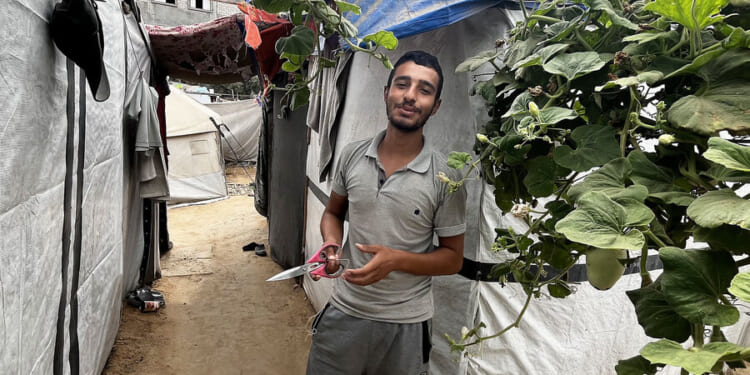 Deeply distrustful, Palestinians are cool to Trump’s Gaza plan