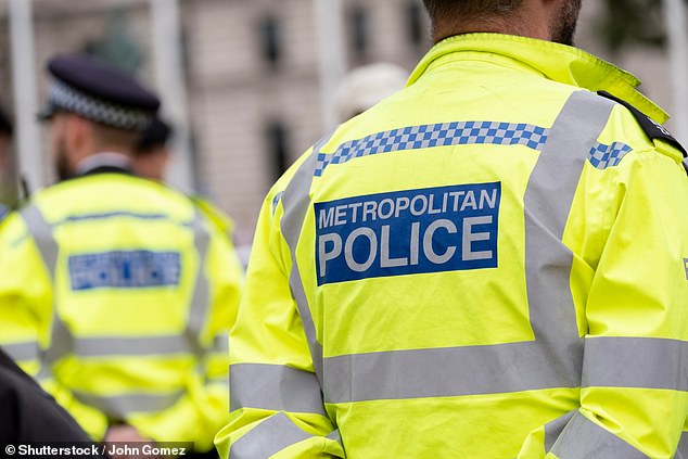 After the Mail on Sunday published its revelations, the Met Police said it was 'actively' looking into the matter ¿ raising the prospect that Andrew could become the first royal to be caught up in a criminal probe in more than 20 years (Stock Image)