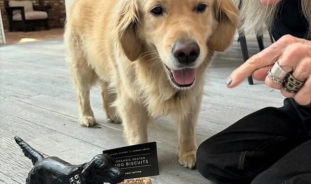 Accompanied by her beloved dog Reggie, Diane Keaton showed no sign of ill health as she promoted National Pet Day with Instagram followers in April