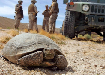 Dim Bulbs and Solar – HotAir