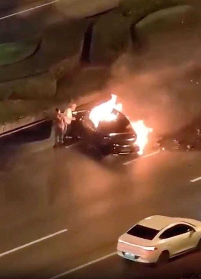 NINTCHDBPICT001031063219