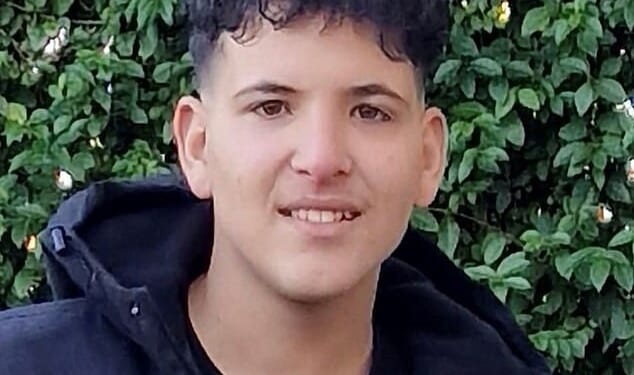 Ahmad Al Ibrahim, 16, (pictured) died after being stabbed by Alfie Franco, whose pregnant girlfriend he had brushed past on a busy shopping street in Huddersfield on April 3