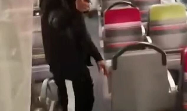 The man, 26, was apprehended by transport police on Friday evening after the assault (pictured) on Jhordana Dias, also 26, just outside the French capital on October 15