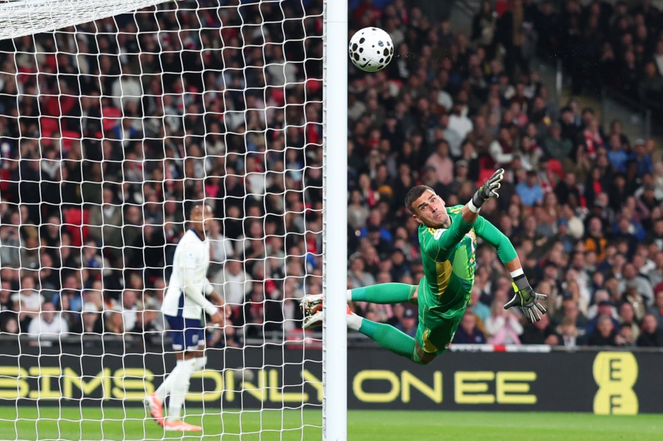 Wales goalkeeper Karl Darlow attempts to save a shot that has just entered the goal at Wembley Stadium.
