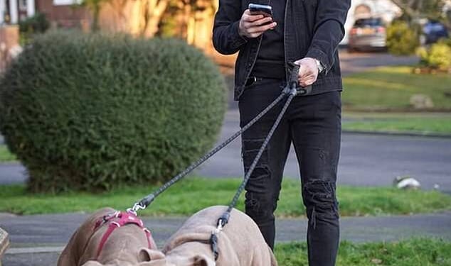 Benrahma is pictured with his dogs Ghost and Cali in an image he shared on Instagram