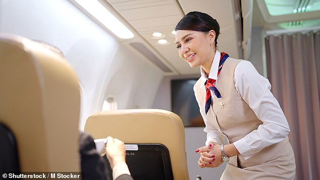 Now, a flight attendant has revealed the secret code cabin crew use to alert one another of an attractive customer on board an aircraft (stock)
