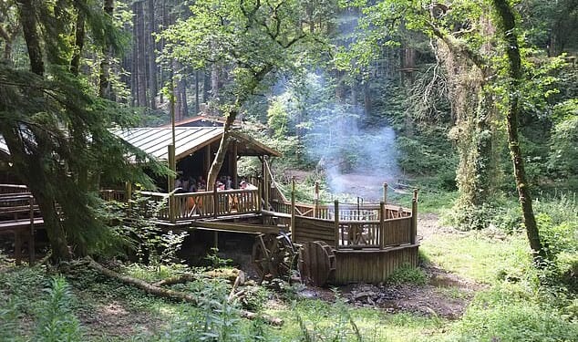 A lodge on the Bluestone National Park Resort in Pembrokeshire