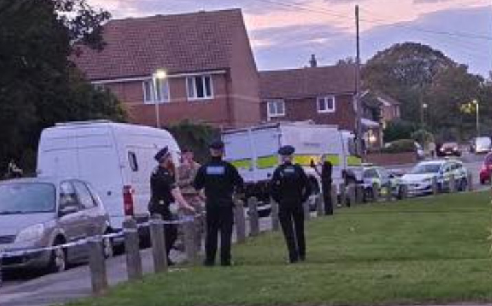 Emergency services on Rosedale Road during an evacuation.