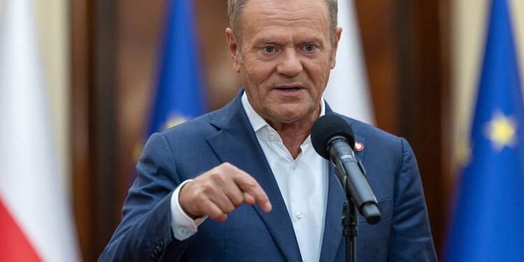 Germany Must Rearm - The American Conservative