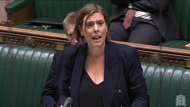 But Ms Phillips (pictured in the Commons this week) later came out to call claims the inquiry was being watered down 'untrue', in a letter to Commons Home Affairs Committee chairwoman Dame Karen Bradley