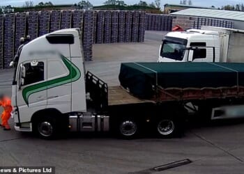 Daniel Ley, 44, from the village of Harby, Nottinghamshire, had been dropping off bricks at a firm just outside Newcastle on April 28, 2022, when the scuffle (pictured) occurred