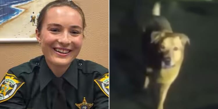 Deputy Devon Miller praised Eeyore the dog as a "true hero" for leading her to a missing Florida woman.