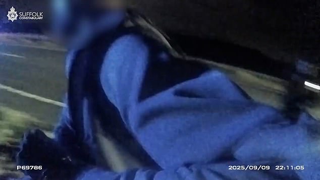 Suffolk Police officers in another emergency vehicle, meanwhile, leap out with their Tasers in hand and chase the motorist (pictured), before eventually apprehending and arresting him