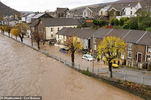 Down: Average home insurance premiums fell by 13% year-on-year in September, data shows
