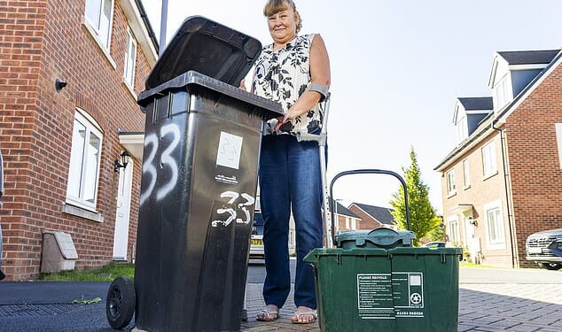 Caroline Lines, 61, said it is 'disgusting' to live next to rubbish and 'smelly' ripped open bins