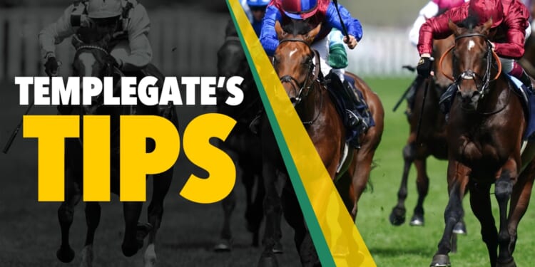 Horse racing tips: 'A filly who just keeps on improving' - No stopping Templegate's Wednesday NAP