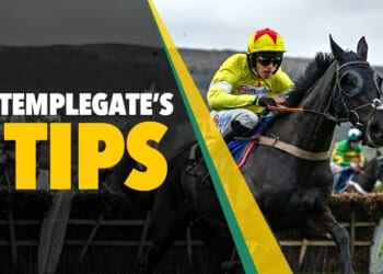 Horse racing tips: 'He has a very bright future'