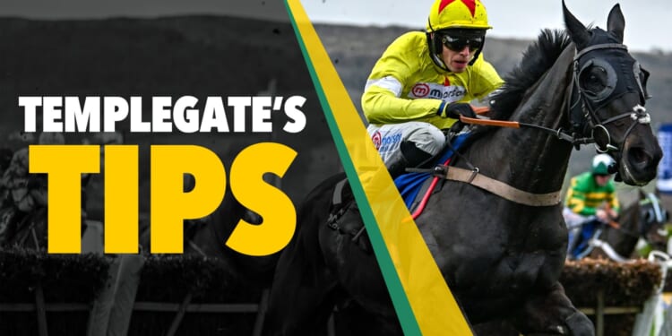 Horse racing tips: 'He has a very bright future'