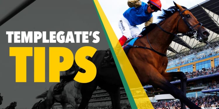 Horse racing tips: 'The penny has dropped with this potential superstar' - Templegate's 11-4 Friday NAP