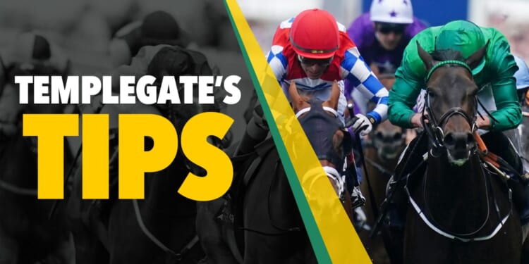 Horse racing tips: 'This is a golden chance to get off the mark'