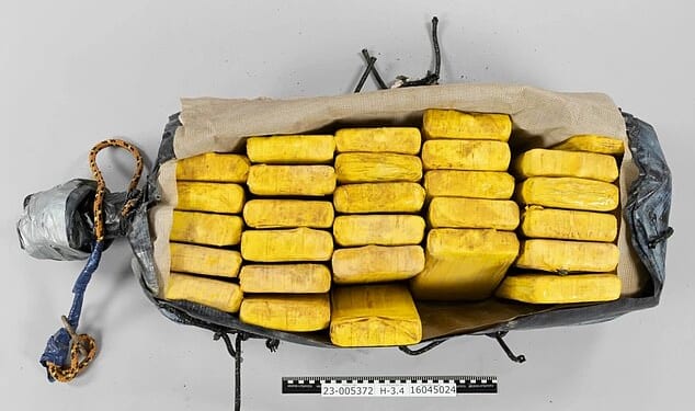 Six Albanians - five men and a woman - were arrested in the small Norwegian port of Husnes in 2023 after heading to receive 150kg worth of cocaine (pictured)