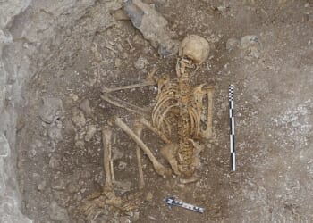 Iron Age ritual: Archaeologists have unearthed the skeletal remains of a young adult woman, lying face down, having been thrown on to a platform with her throat cut