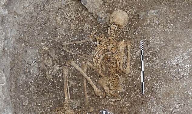 Iron Age ritual: Archaeologists have unearthed the skeletal remains of a young adult woman, lying face down, having been thrown on to a platform with her throat cut