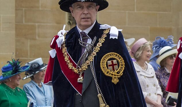 Royal splendor: Andrew in his finery while attending an Order of the Garter in Windsor in 2014